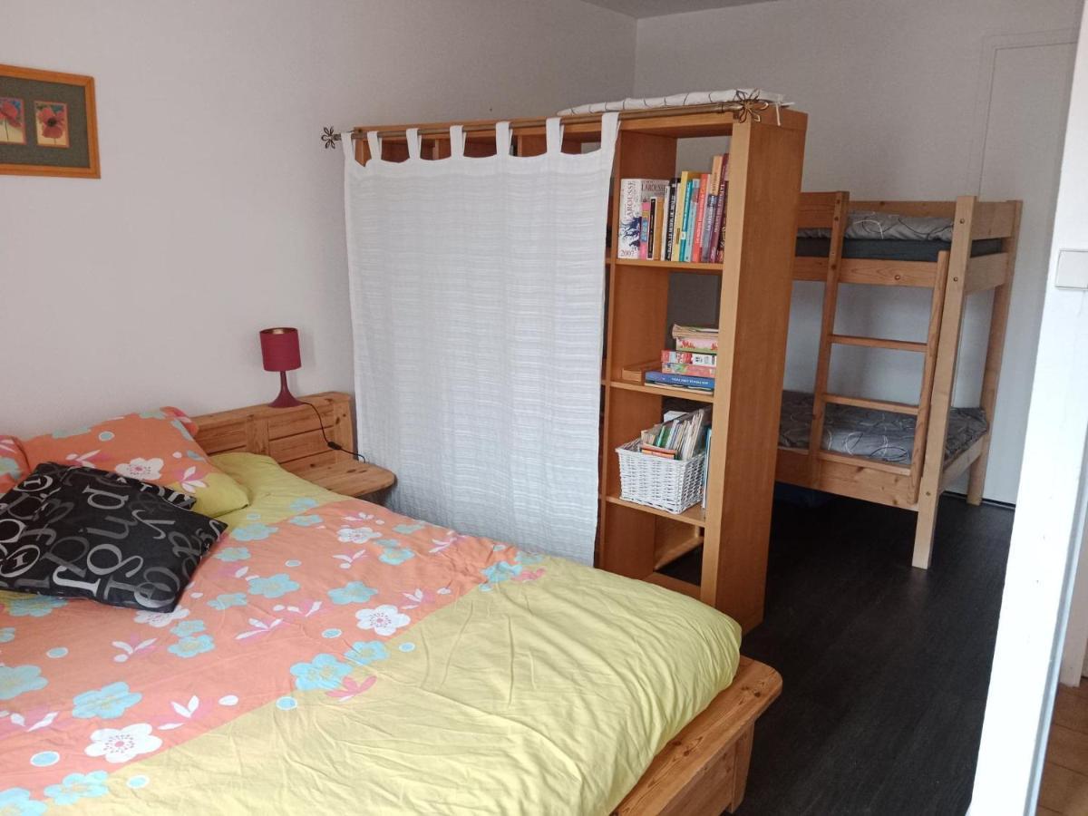 Vitre Centre Ville Bel Appartement A Decouvrir Buitenkant foto